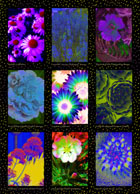 Rebeccas Surreal Garden