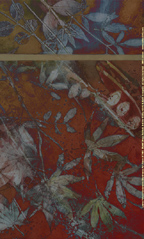 Leaf Patterns Companion