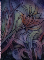 Petal Shapes Companion