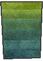 Shades of Bright Green